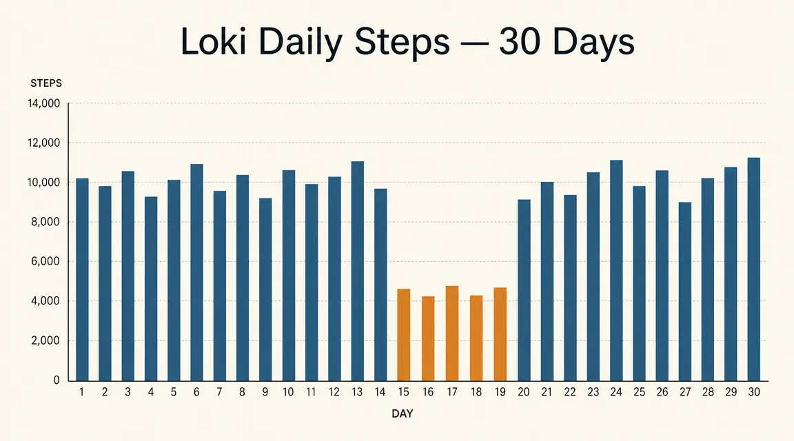 Chart showing daily step count trend for a husky over a 30-day period with a dip during illness