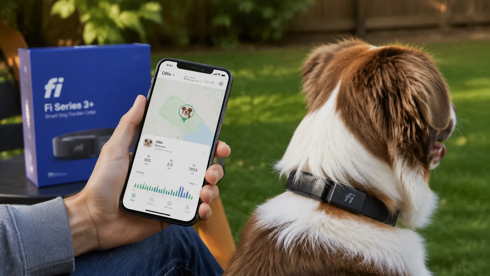 Person checking a phone app showing a dog's live GPS location on a map while the dog wears a smart collar in the yard