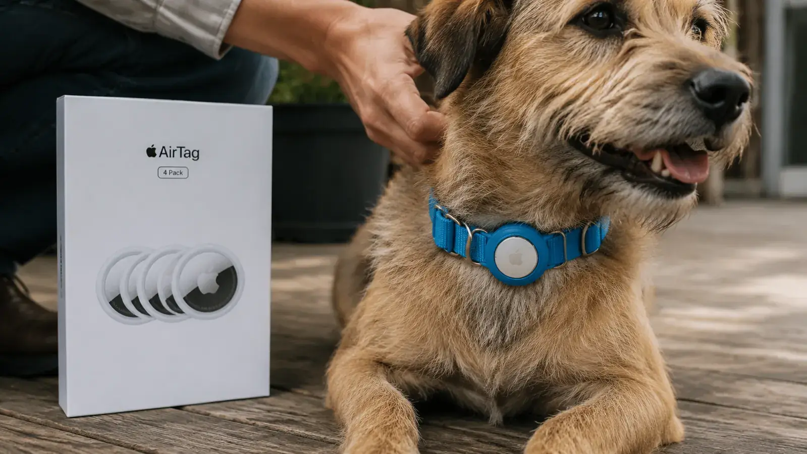 Close-up of an Apple AirTag attached to a dog collar lying on a wooden surface