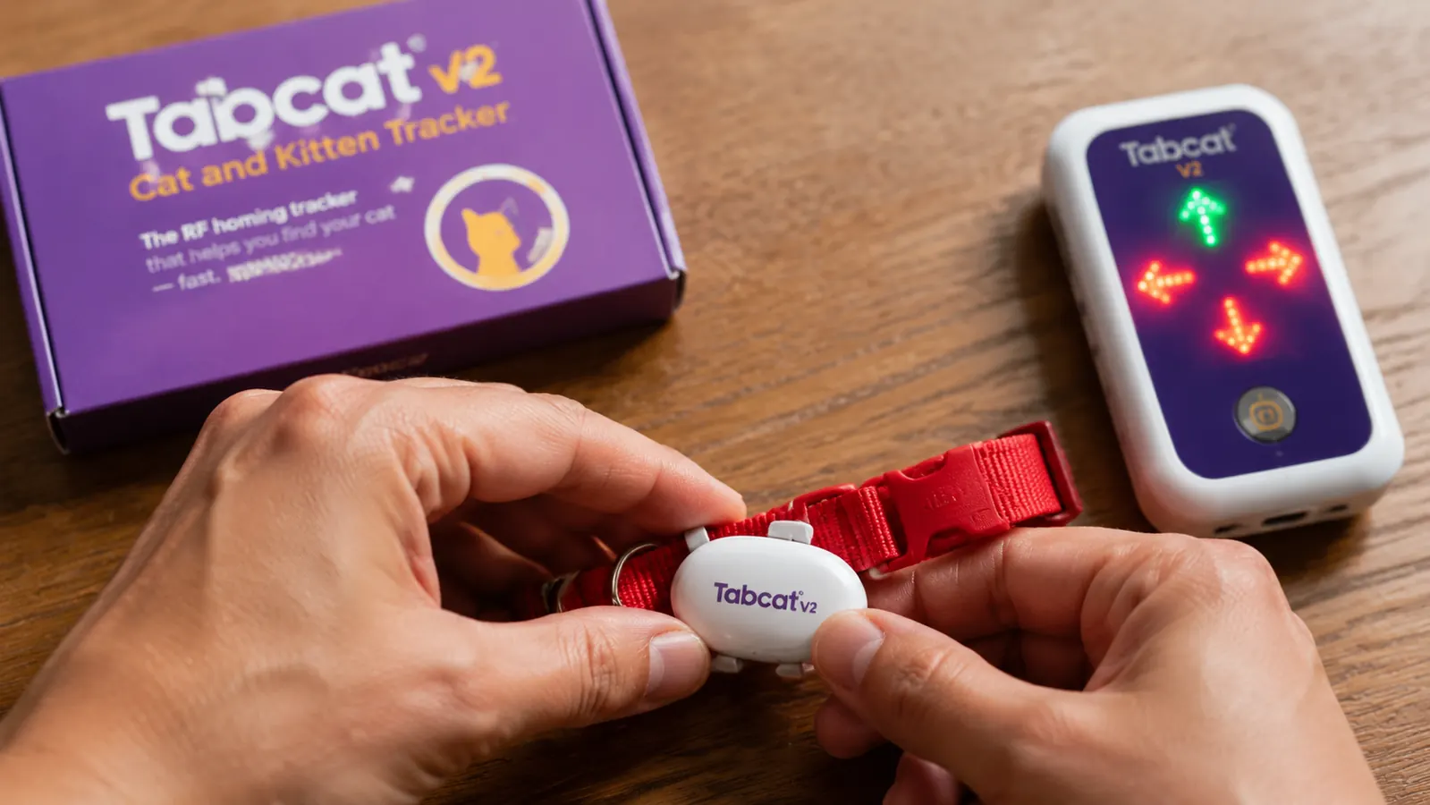 Close-up of a person's hand attaching a small white oval Tabcat homing tag to a red breakaway cat collar on a table