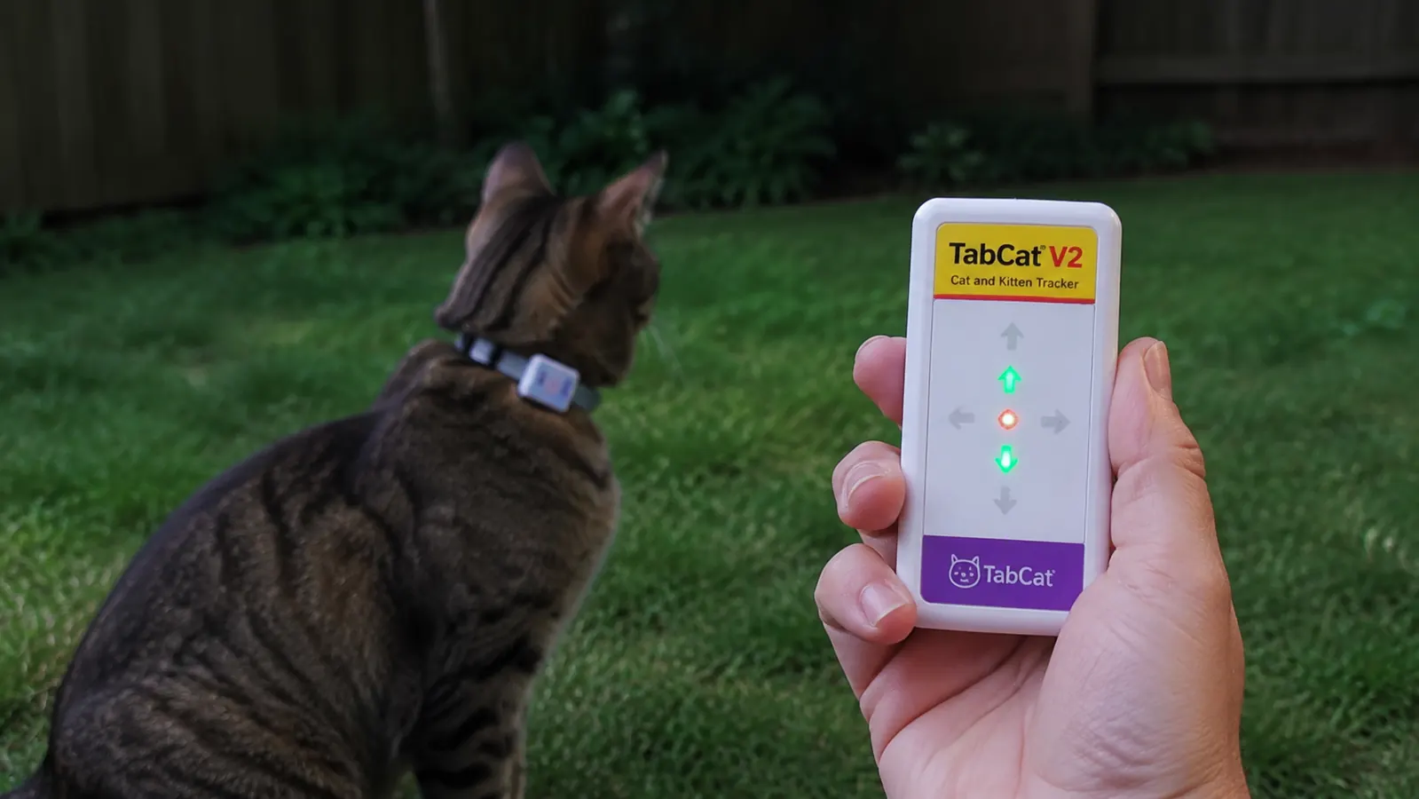 Hand holding the Tabcat V2 handheld receiver with directional arrows lit up, pointing toward a cat tag