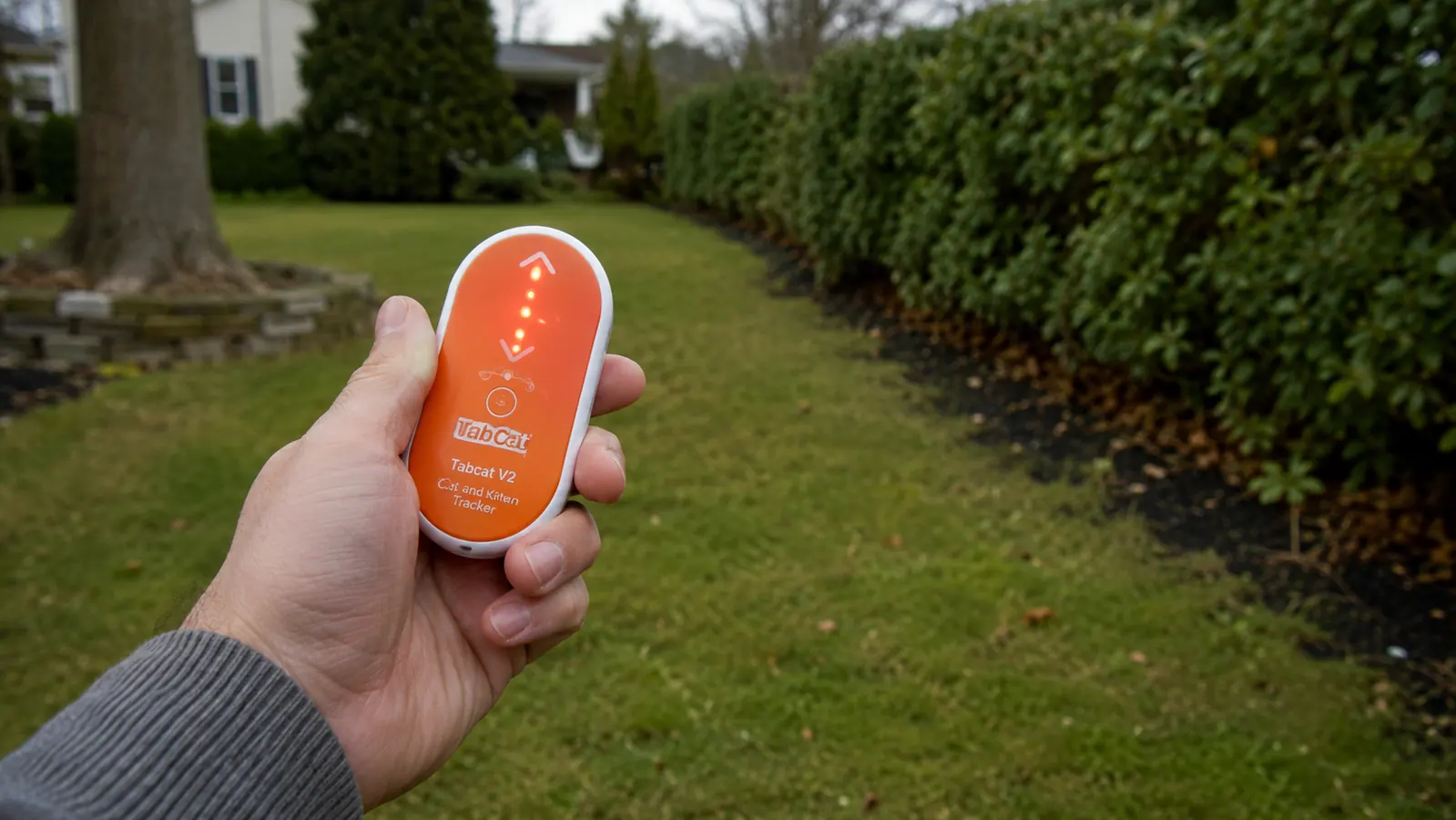 Hand holding the Tabcat handheld receiver while walking through a suburban backyard, device pointing toward shrubs