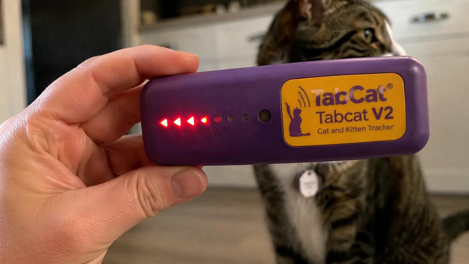 Hand holding the Tabcat handheld receiver showing directional arrow LEDs lighting up