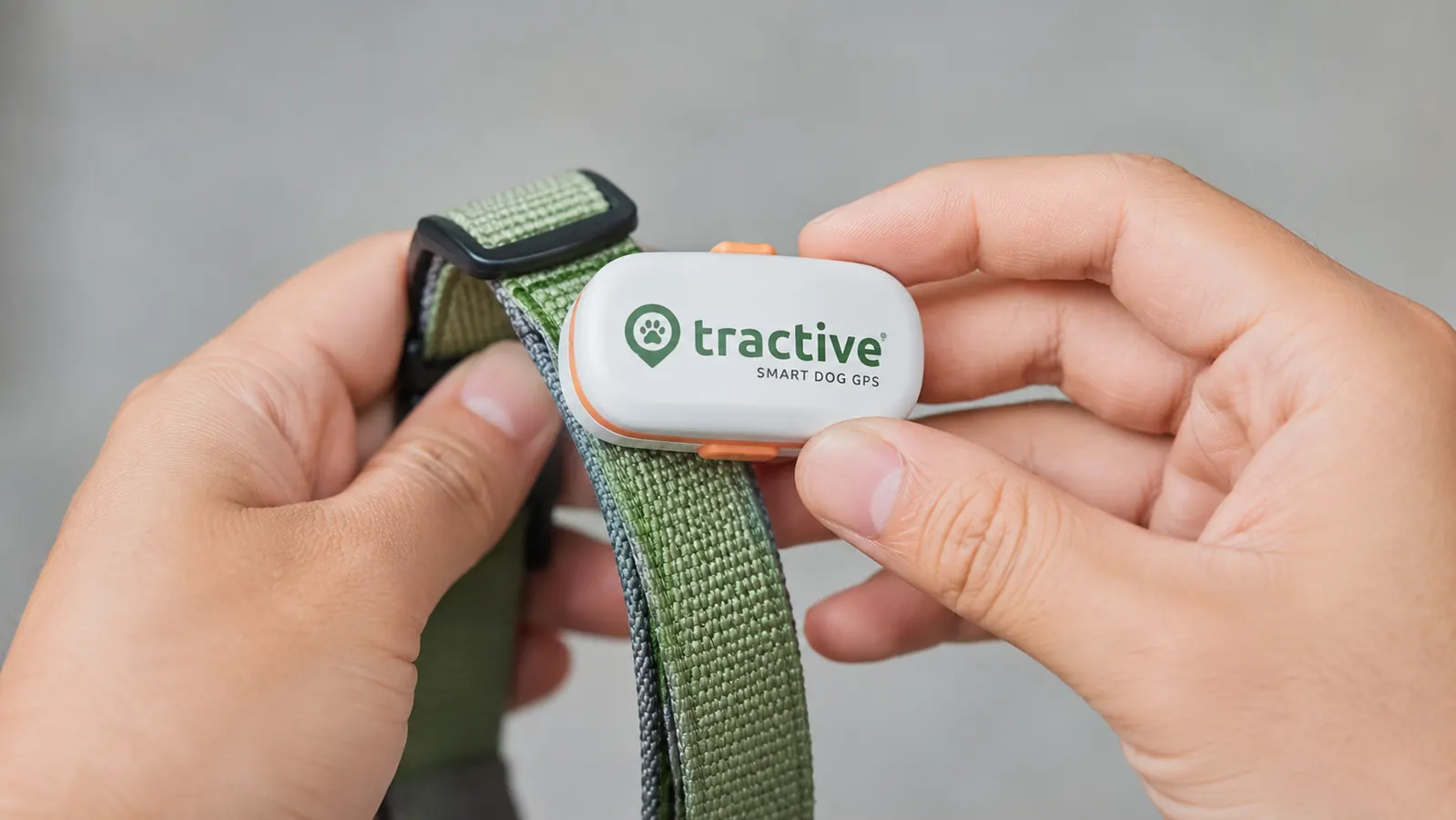 Hand attaching a Tractive GPS tracker to a dog collar before a walk